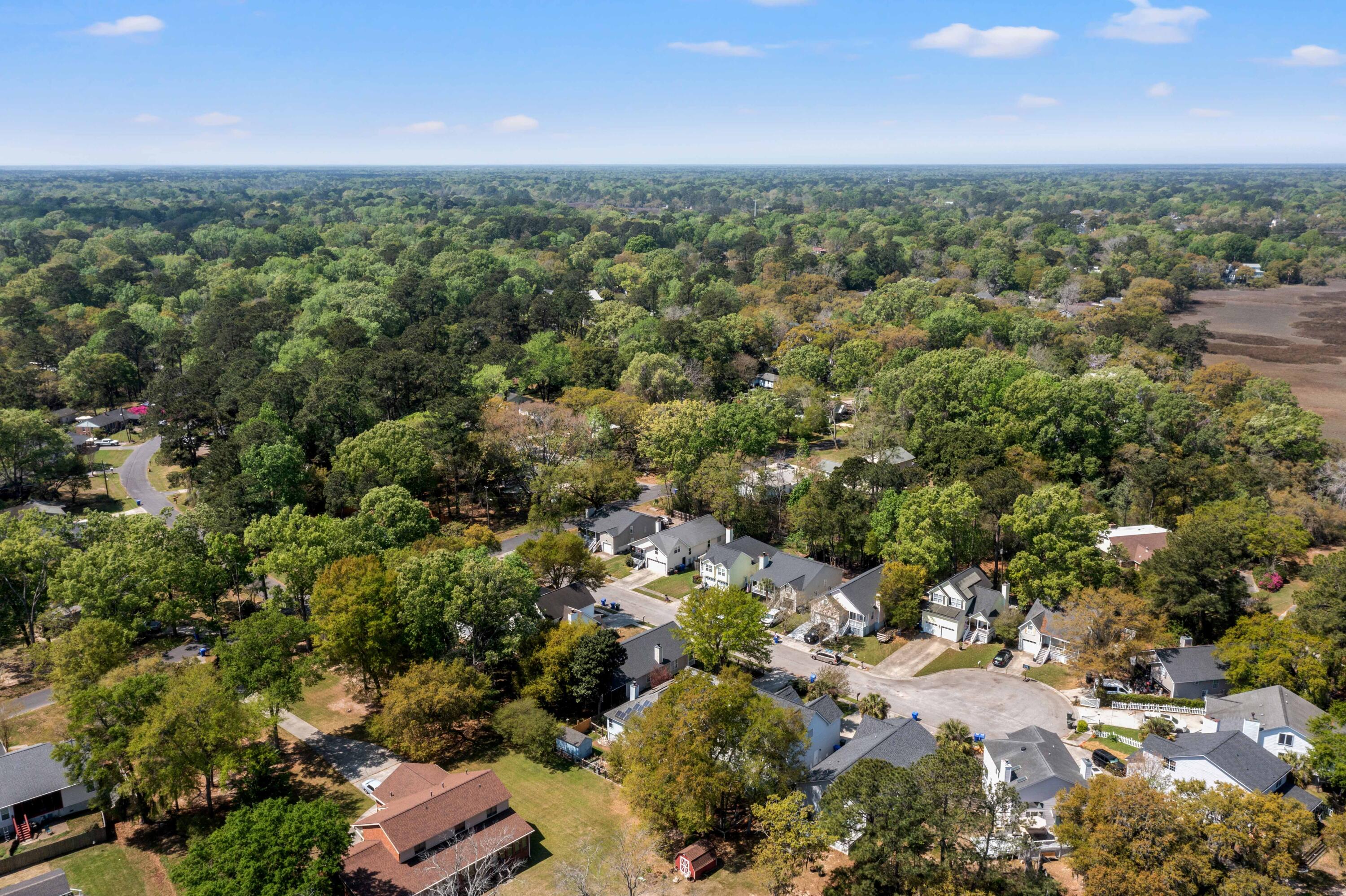 2104 Razorback Lane Charleston, SC 29414 - Photo 46 of 55 DJI_0513