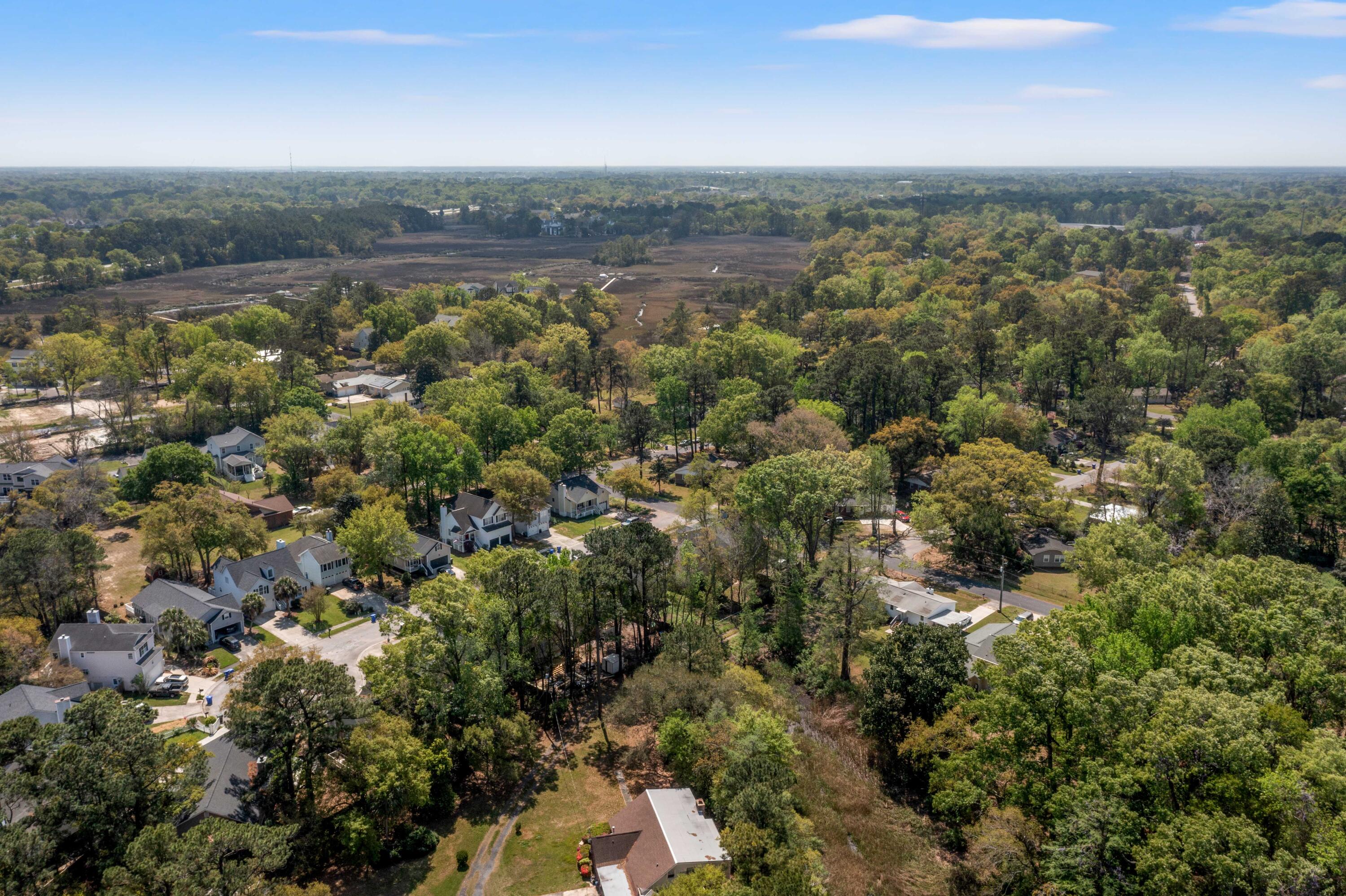 2104 Razorback Lane Charleston, SC 29414 - Photo 48 of 55 DJI_0515