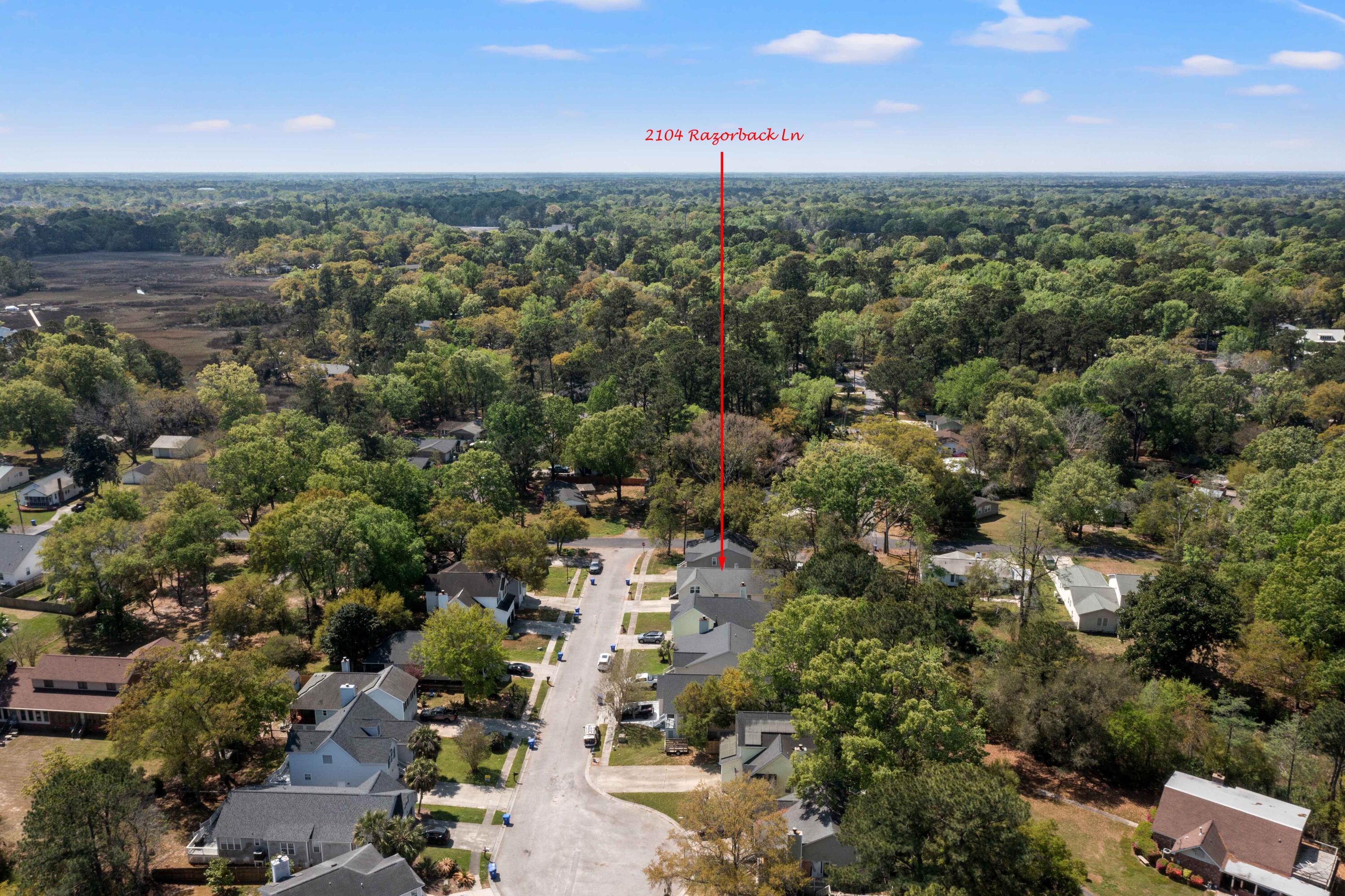 2104 Razorback Lane Charleston, SC 29414 - Photo 54 of 55 DJI_0514