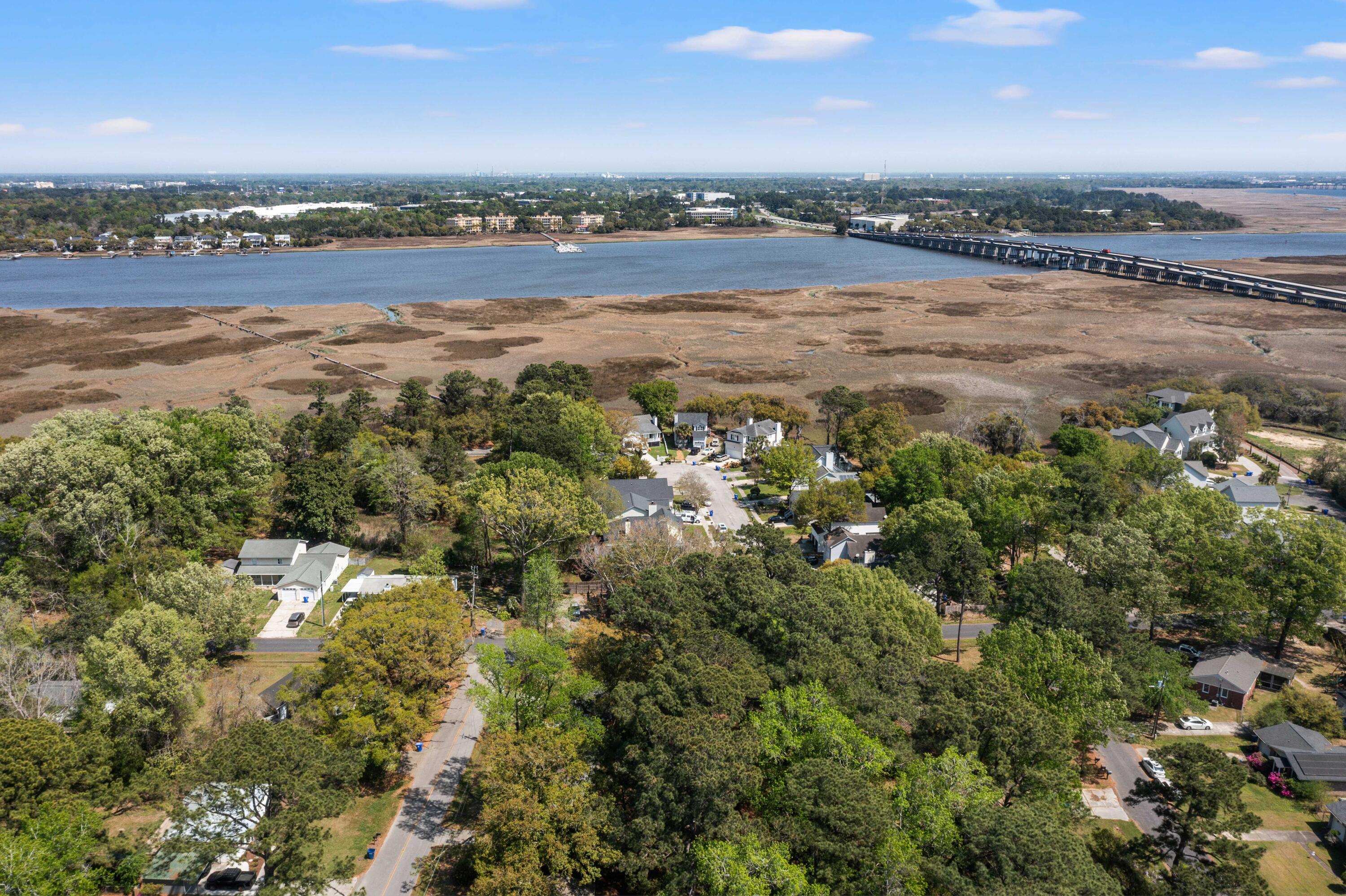 2104 Razorback Lane Charleston, SC 29414 - Photo 55 of 55 DJI_0518