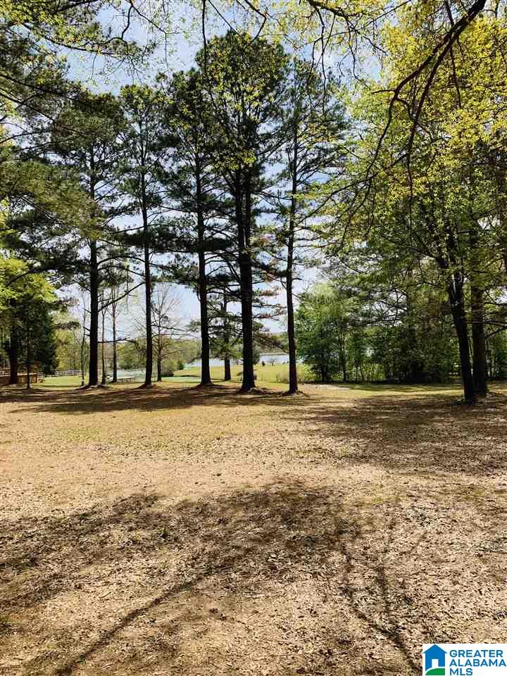 0 Carleton Point, Unit 10 Wilsonville, AL 35186 - Photo 5 of 14