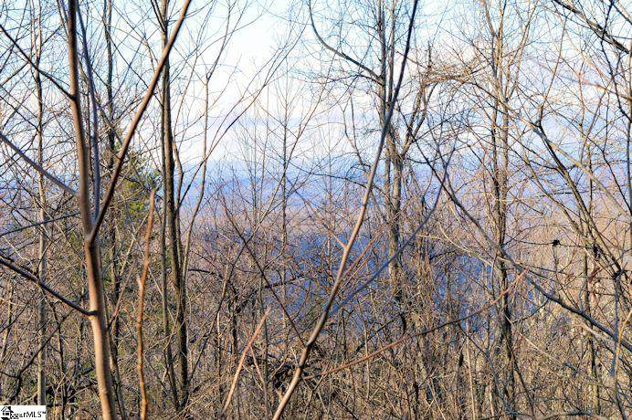 0 Summit Road Tryon, NC 28782 - Photo 3 of 9