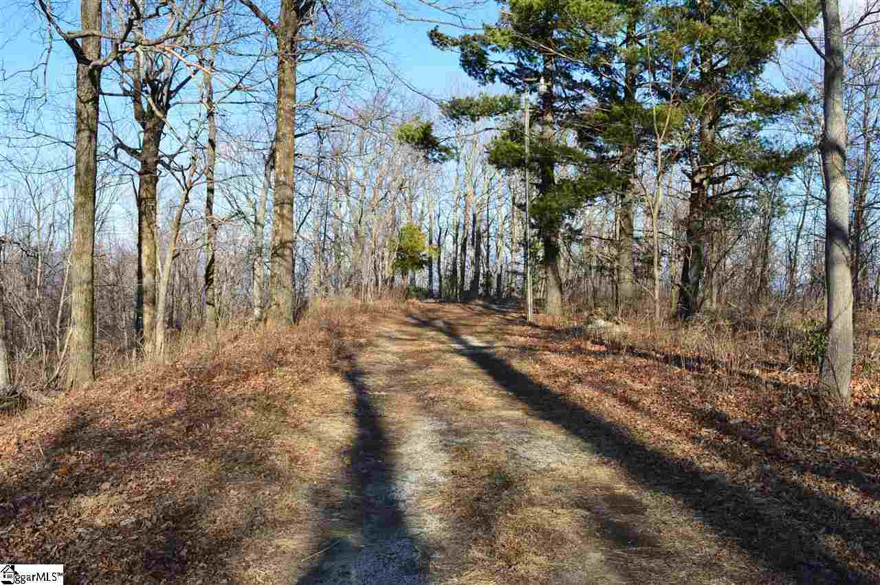 0 Summit Road Tryon, NC 28782 - Photo 8 of 9