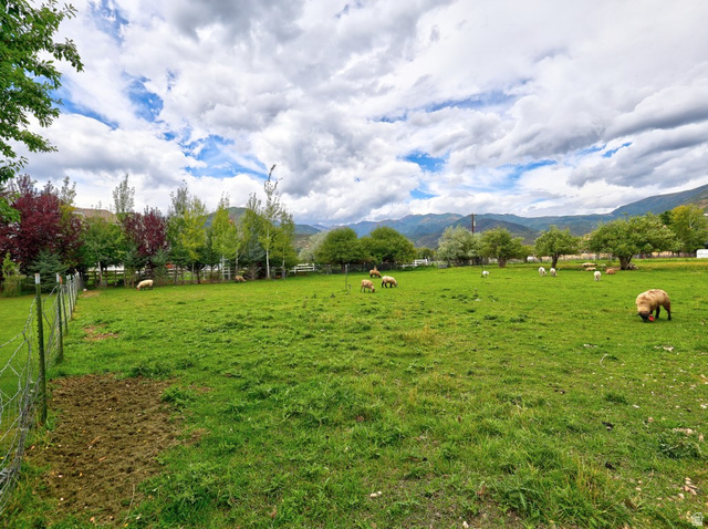 180 Farm Road Midway, UT 84049 - Photo 84 of 99 Expansive green pasture with mature trees and perimeter fencing