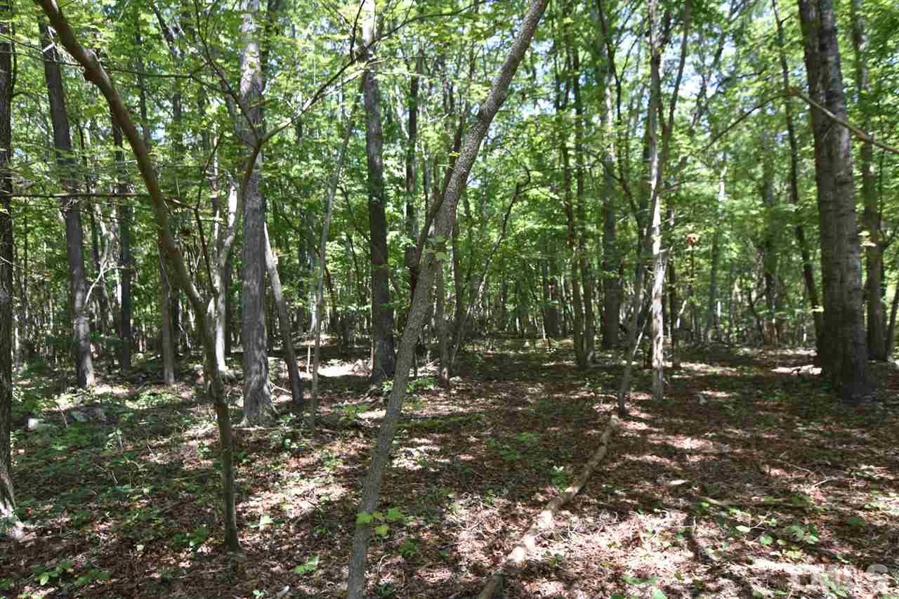 Lot 10 Crabtree Glenn Road Rougemont, NC 27572 - Photo 3 of 9