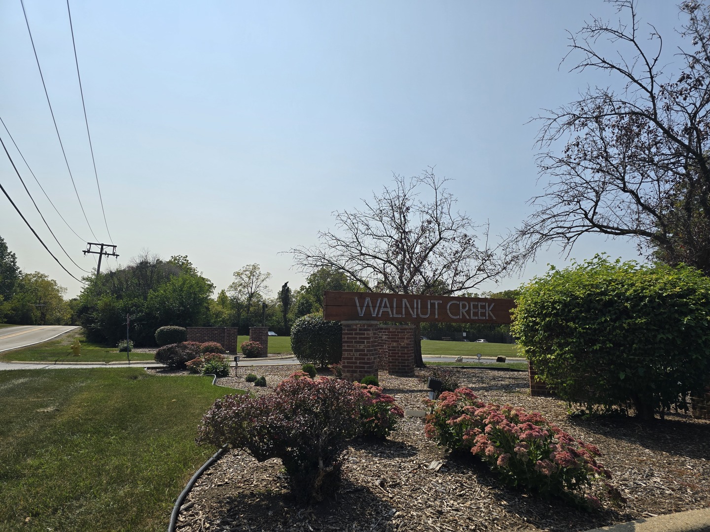 425 Walnut Creek Road, Unit 1601 Lisle, IL 60532 - Photo 6 of 16 Gallery Image 6