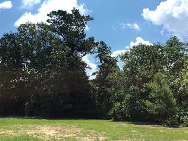 369 Azalea Street Fairhope, AL 36532 - Photo 1 of 1