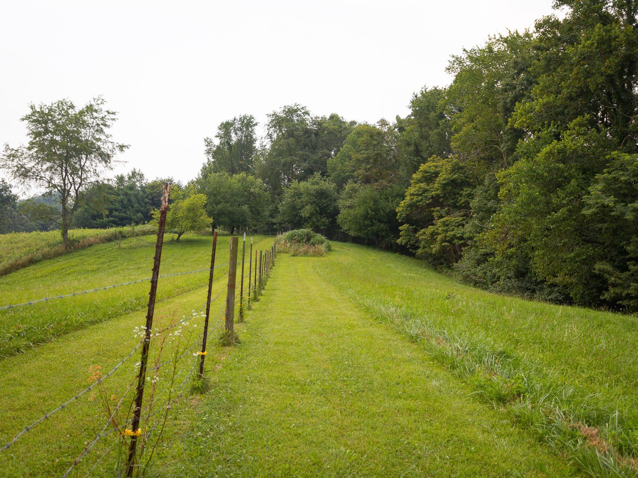 28496 Locust Grove Road McArthur, OH 45651 - Photo 25 of 30