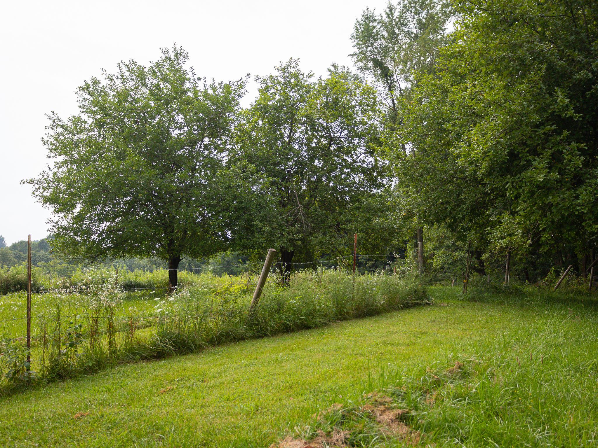 28496 Locust Grove Road McArthur, OH 45651 - Photo 26 of 30