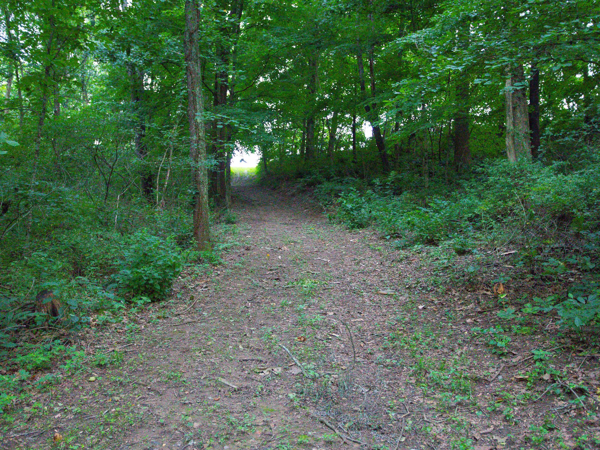 28496 Locust Grove Road McArthur, OH 45651 - Photo 29 of 30