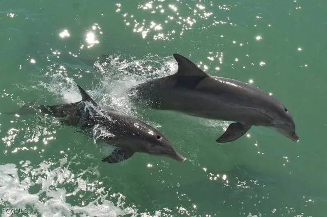 $25,000 | 13791 Driftwood Road, Bokeelia, FL 33922