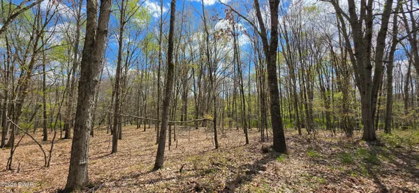 $52,000 | Lot 17.14 Skipperene Road, Narrowsburg, NY 12764