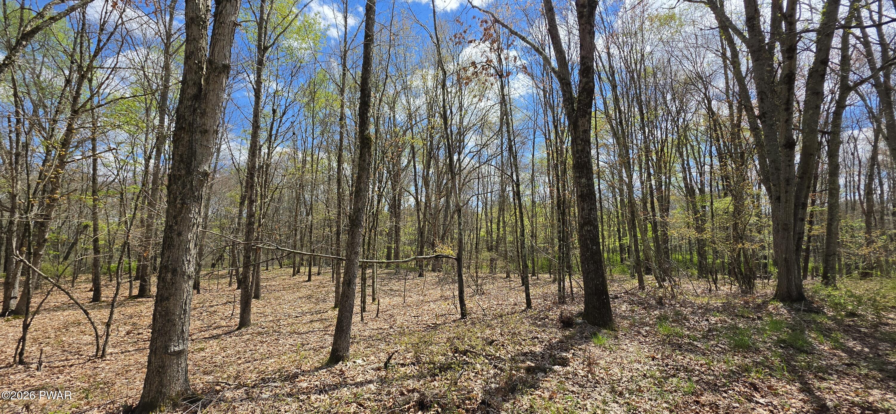 Lot 17.14 Skipperene Road Narrowsburg, NY 12764 - Photo 1 of 15