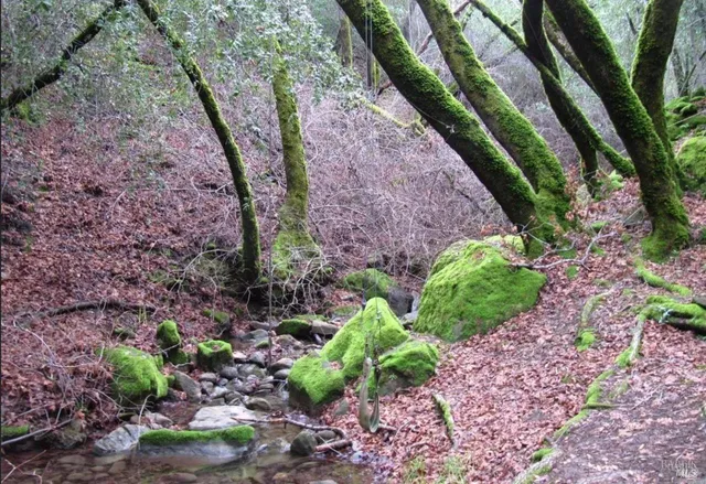 $679,000 | 2778 Mix Canyon Road, Vacaville, CA 95688