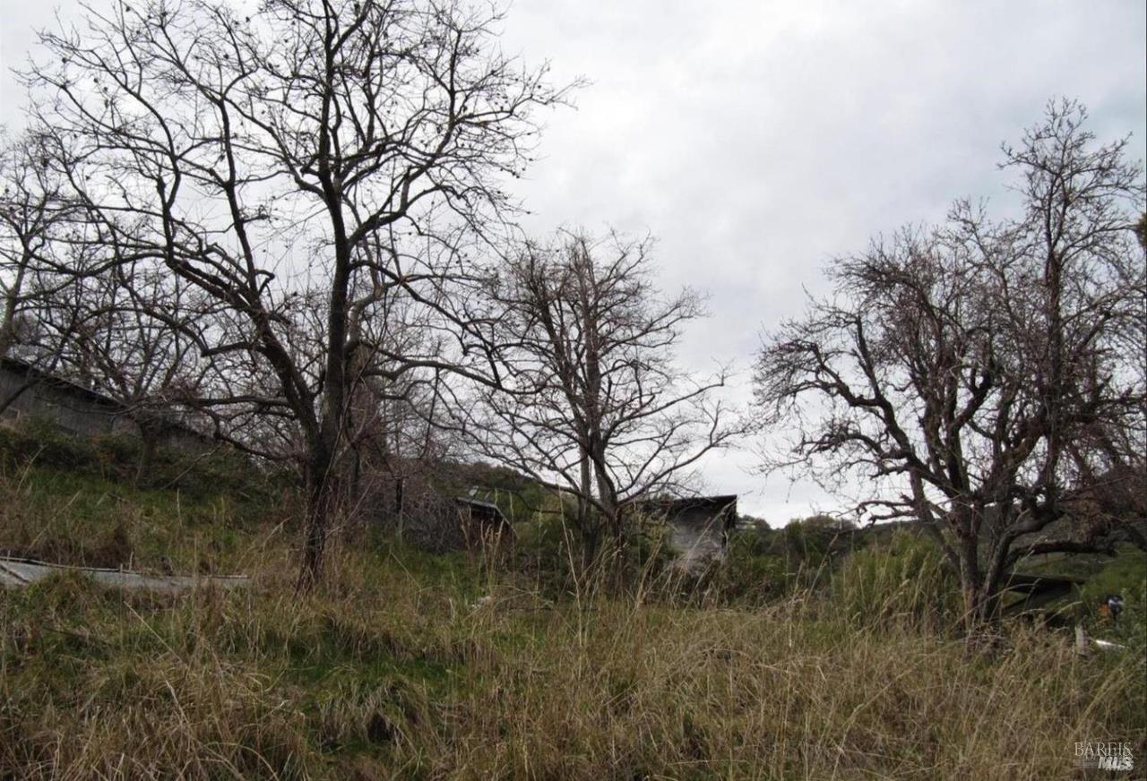 2778 Mix Canyon Road Vacaville, CA 95688 - Photo 21 of 27