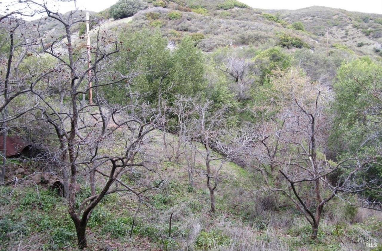 2778 Mix Canyon Road Vacaville, CA 95688 - Photo 22 of 27