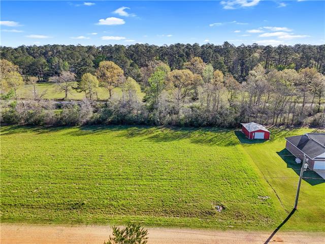 Lot 3 Old Union Road Franklinton, LA 70438 - Photo 1 of 7