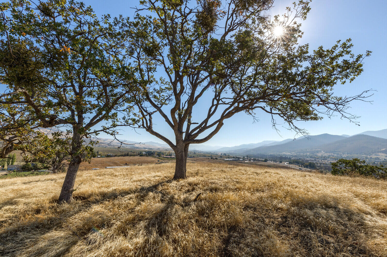 993 Suncrest Road Talent, OR 97540 - Photo 10 of 31 A2