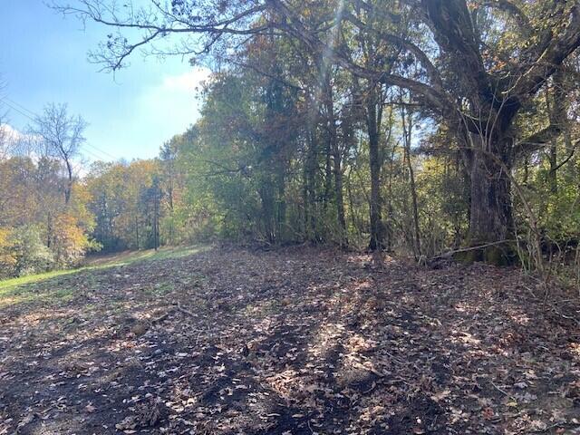 881 Galbraith Road Brooksville, KY 41004 - Photo 1 of 5