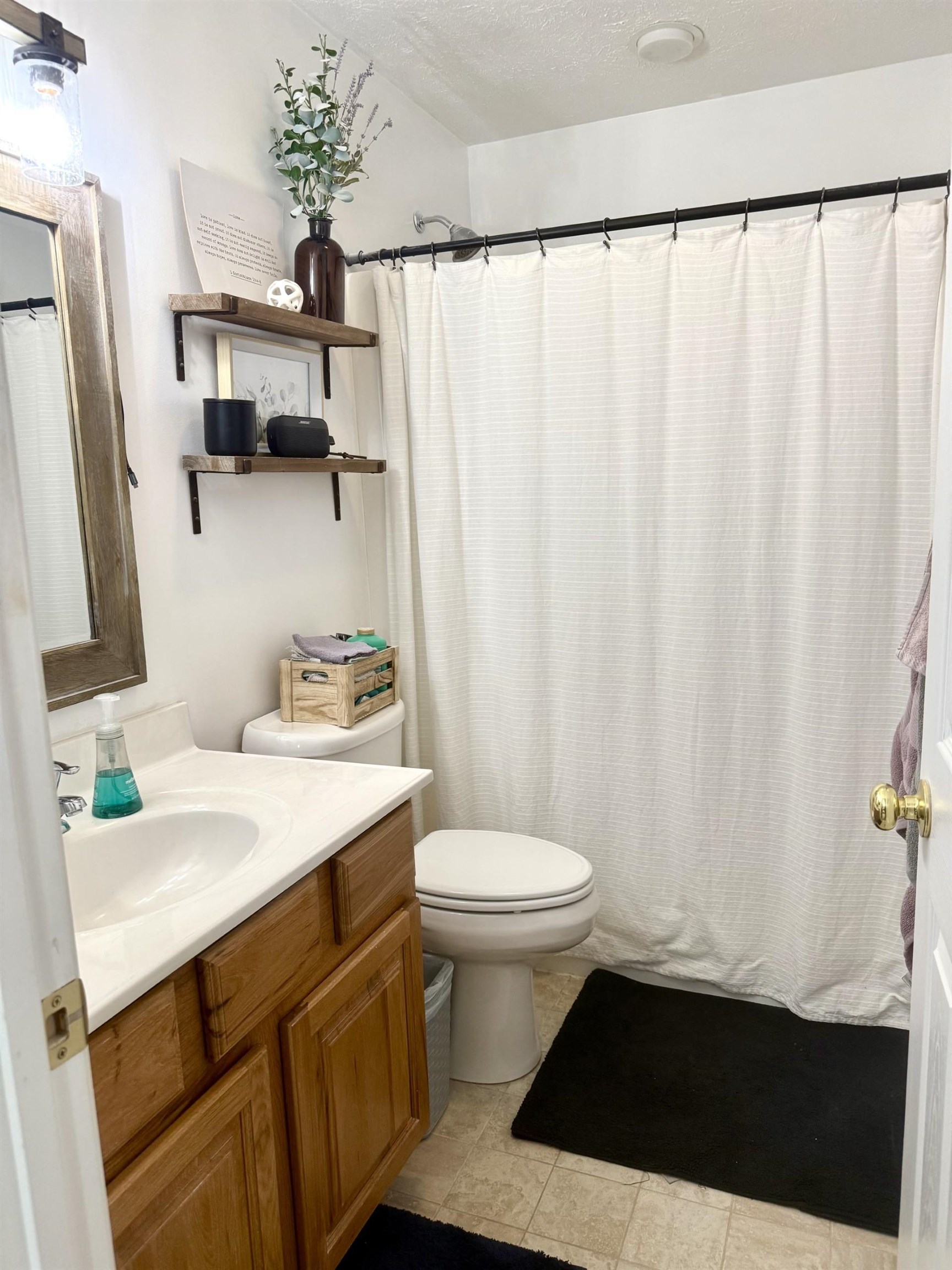 10909 Cook Town Road Bridgewater, VA 22812 - Photo 13 of 23 a bathroom with a sink a toilet and shower curtain