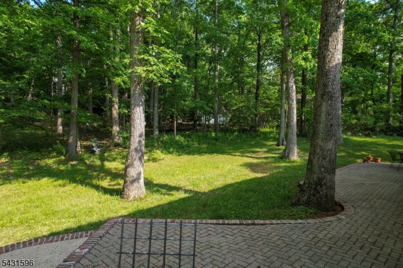 17 Drift Road Watchung, NJ 07069 - Photo 31 of 38