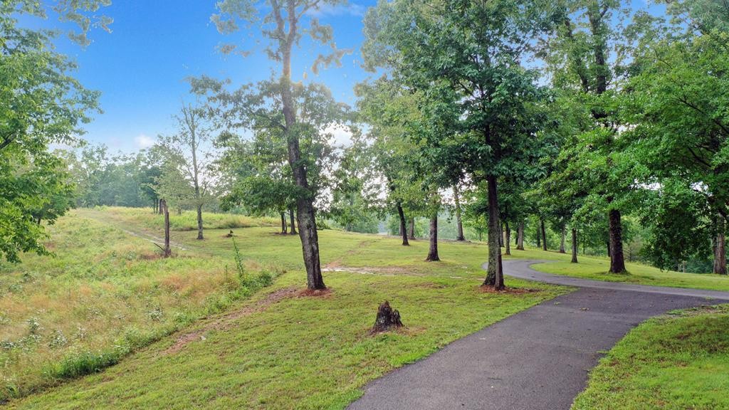 1797 Eads Bluff Road Northwest Georgetown, TN 37336 - Photo 51 of 61 Gallery Image 51