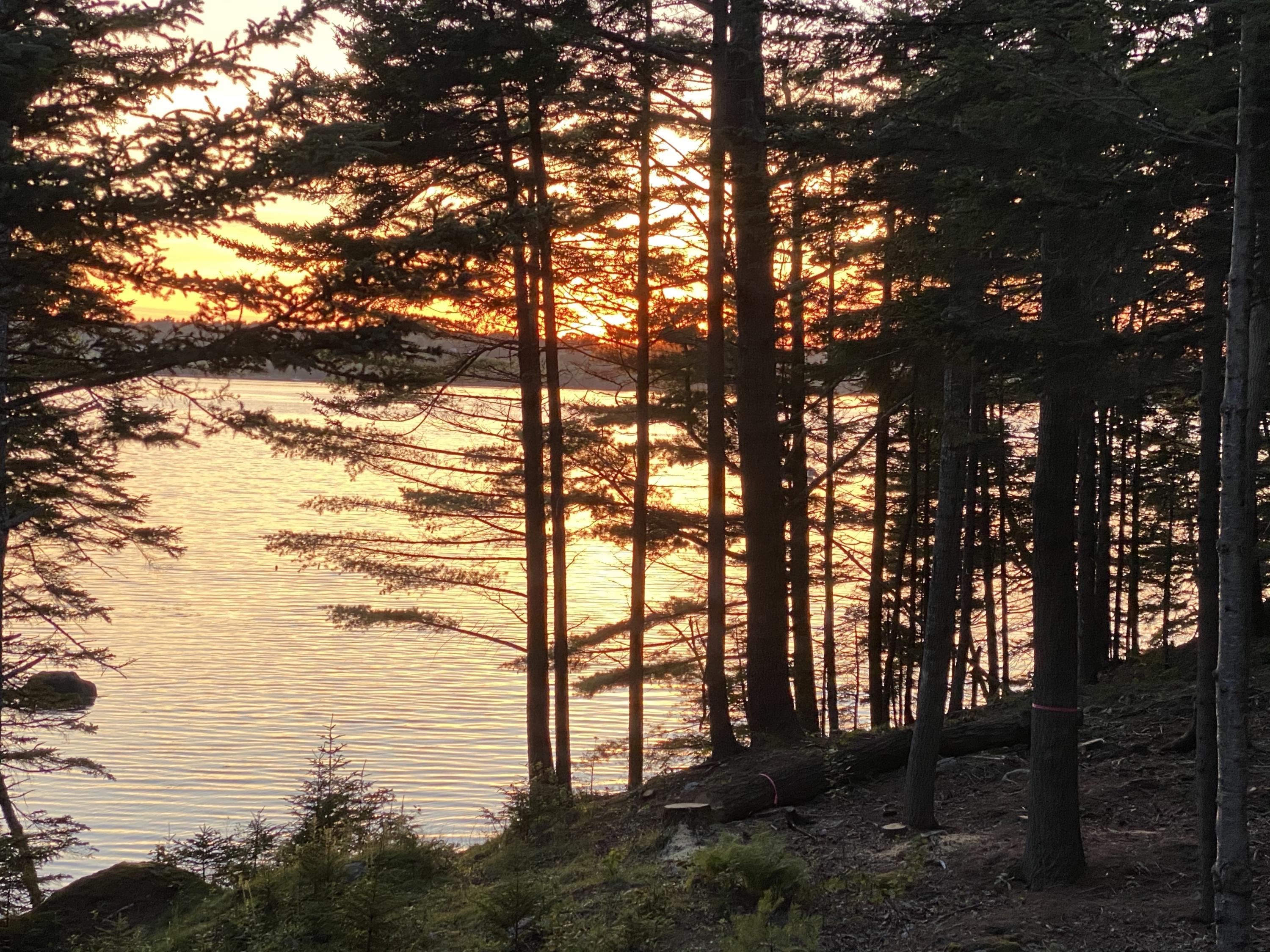 398 Wallston Road St. George, ME 04860 - Photo 68 of 68 Sunset - Marked trees have been removed