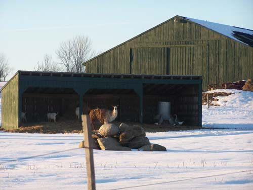 5051 Tuttle Road Burdett, NY 14818 - Photo 3 of 6 Photo 3