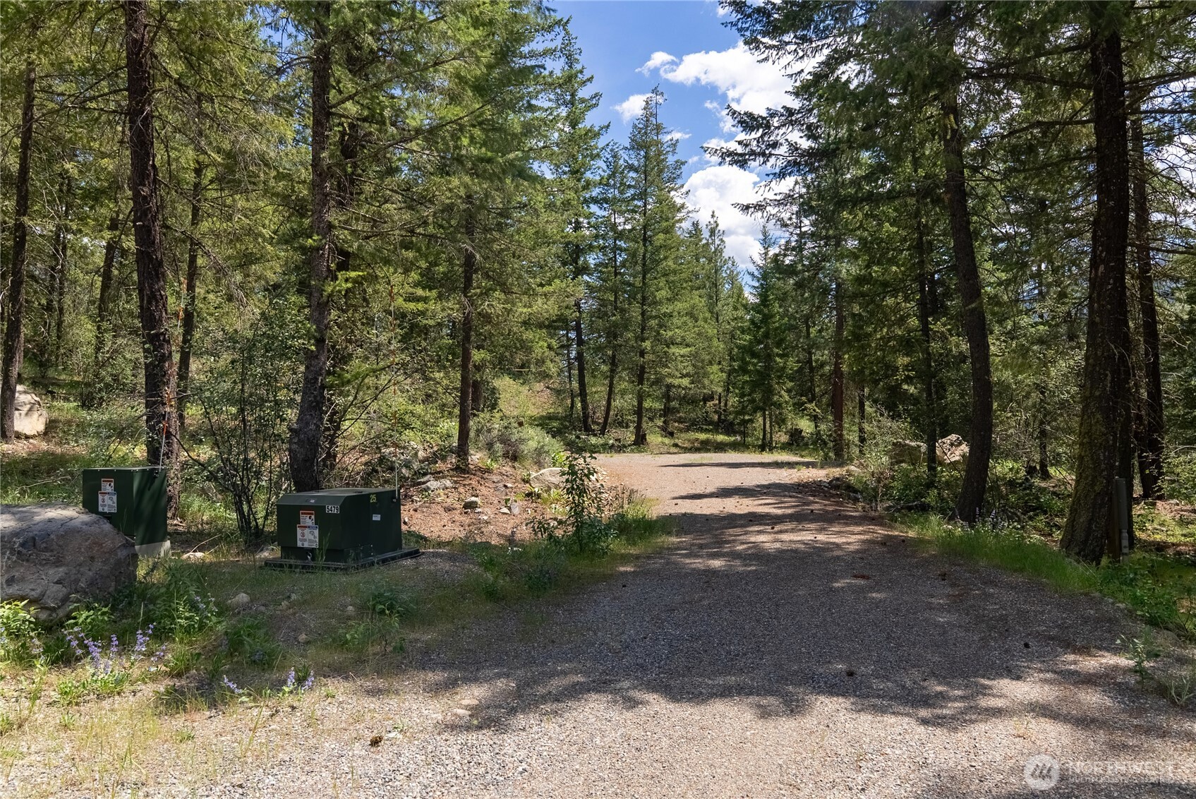6 Homestead Road Winthrop, WA 98862 - Photo 14 of 40 a view of a park with large trees