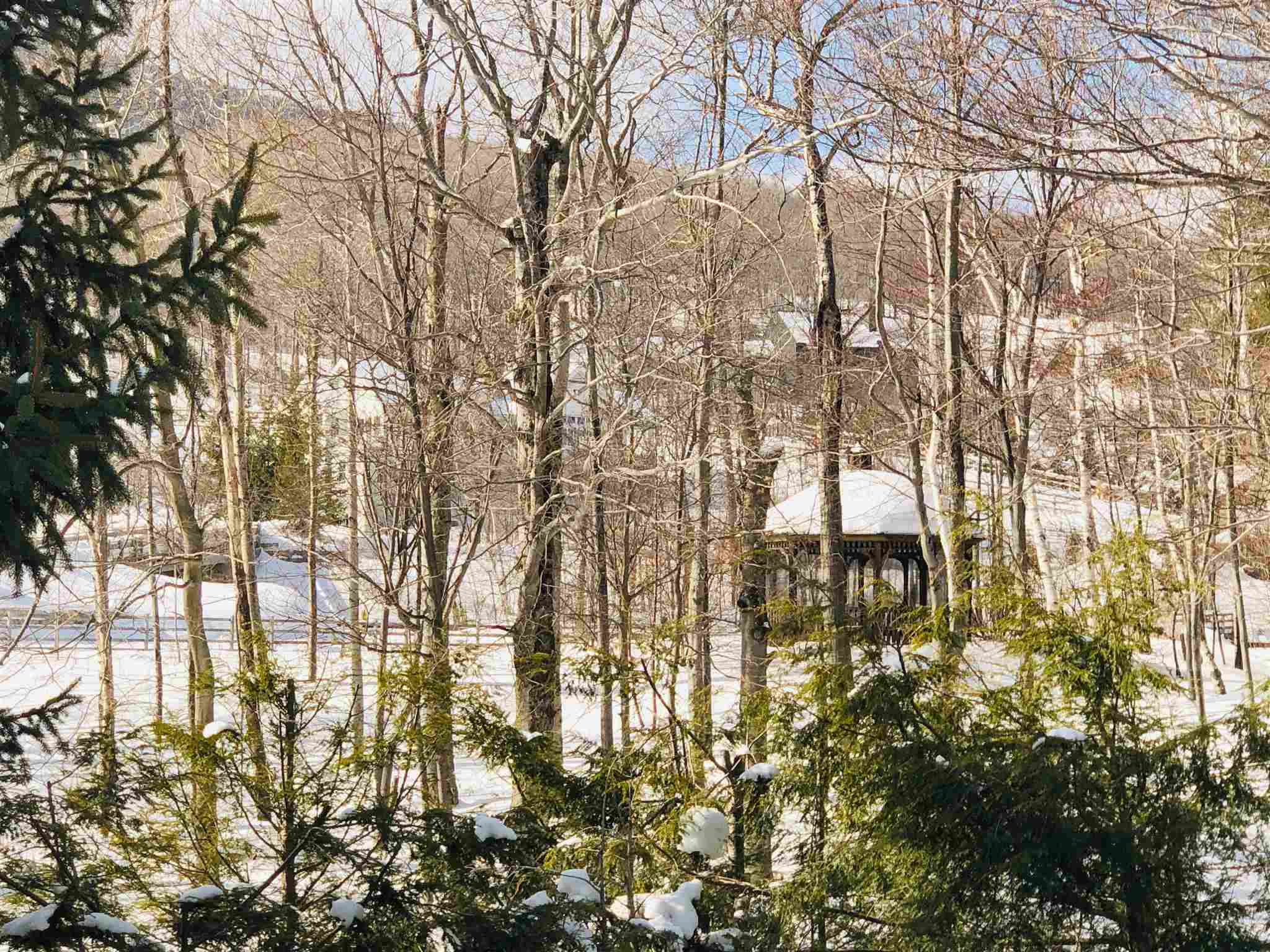 58 Shattarack Road, Unit D2 Stratton, VT 05155 - Photo 25 of 26 Gallery Image 25