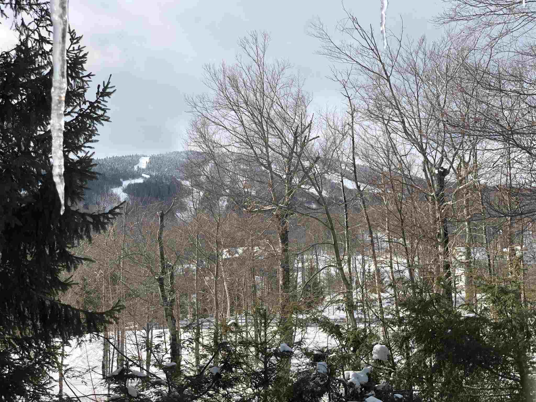58 Shattarack Road, Unit D2 Stratton, VT 05155 - Photo 26 of 26 Gallery Image 26