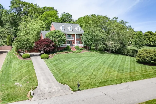 a view of a backyard
