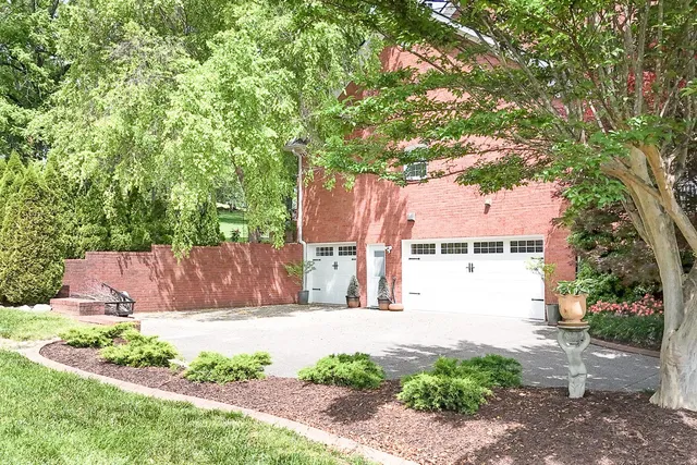 a dining room with furniture a potted plant and wooden floor
