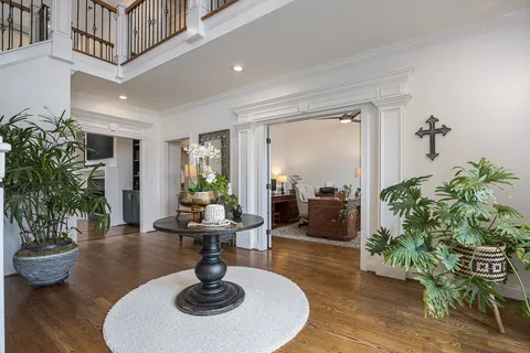 a living room with furniture and potted plant