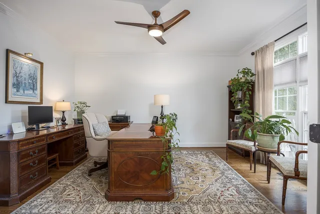 a living room with furniture and potted plant