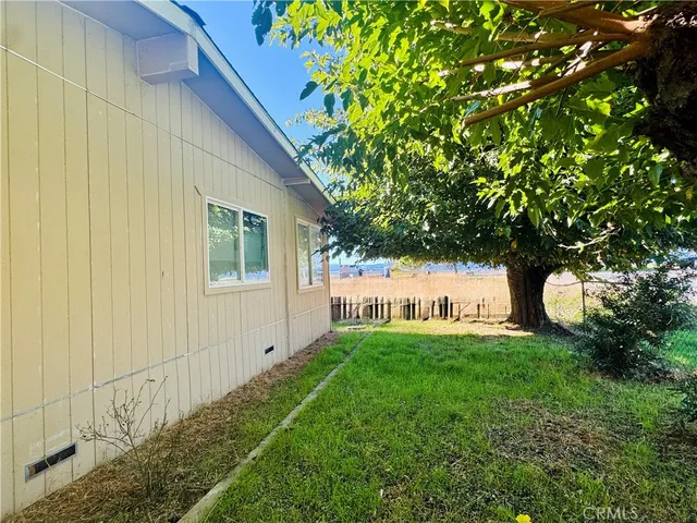 a view of yard with tree in front of it