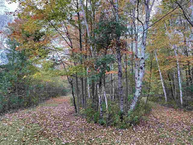 866 Dutcher Road Gladwin, MI 48624 - Photo 10 of 37