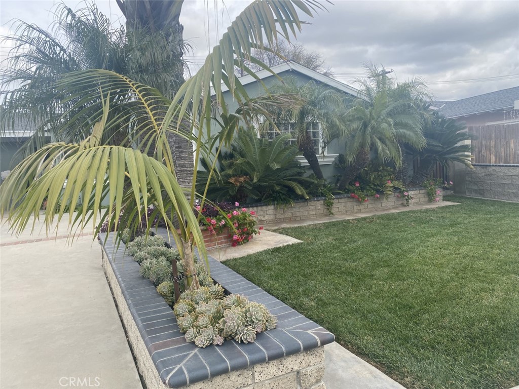 5591 Vallecito Avenue Westminster, CA 92683 - Photo 10 of 37 a view of backyard with seating area and trees