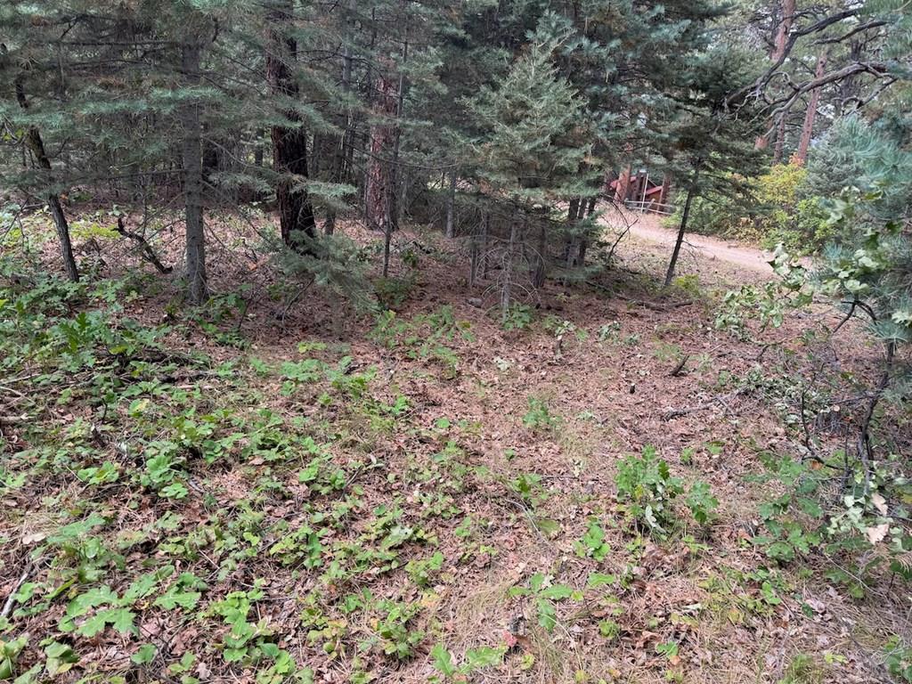6-7 Robin Hood Trail Rye, CO 81069 - Photo 9 of 15
