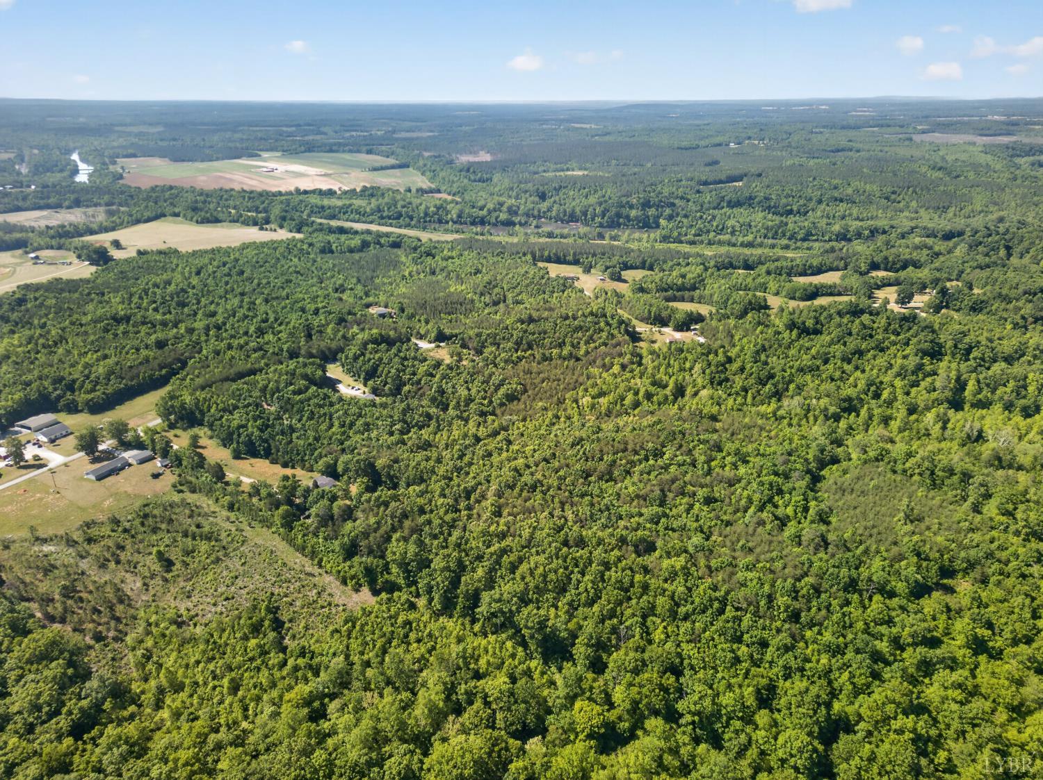 0 Mohawk Road Long Island, VA 24554 - Photo 18 of 23