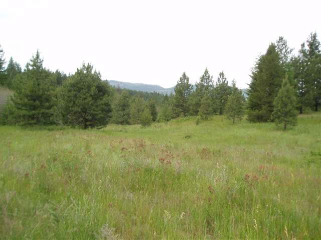 Xx Early Road Addy, WA 99101 - Photo 3 of 9