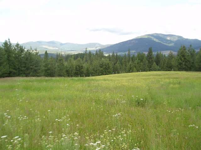 Xx Early Road Addy, WA 99101 - Photo 9 of 9