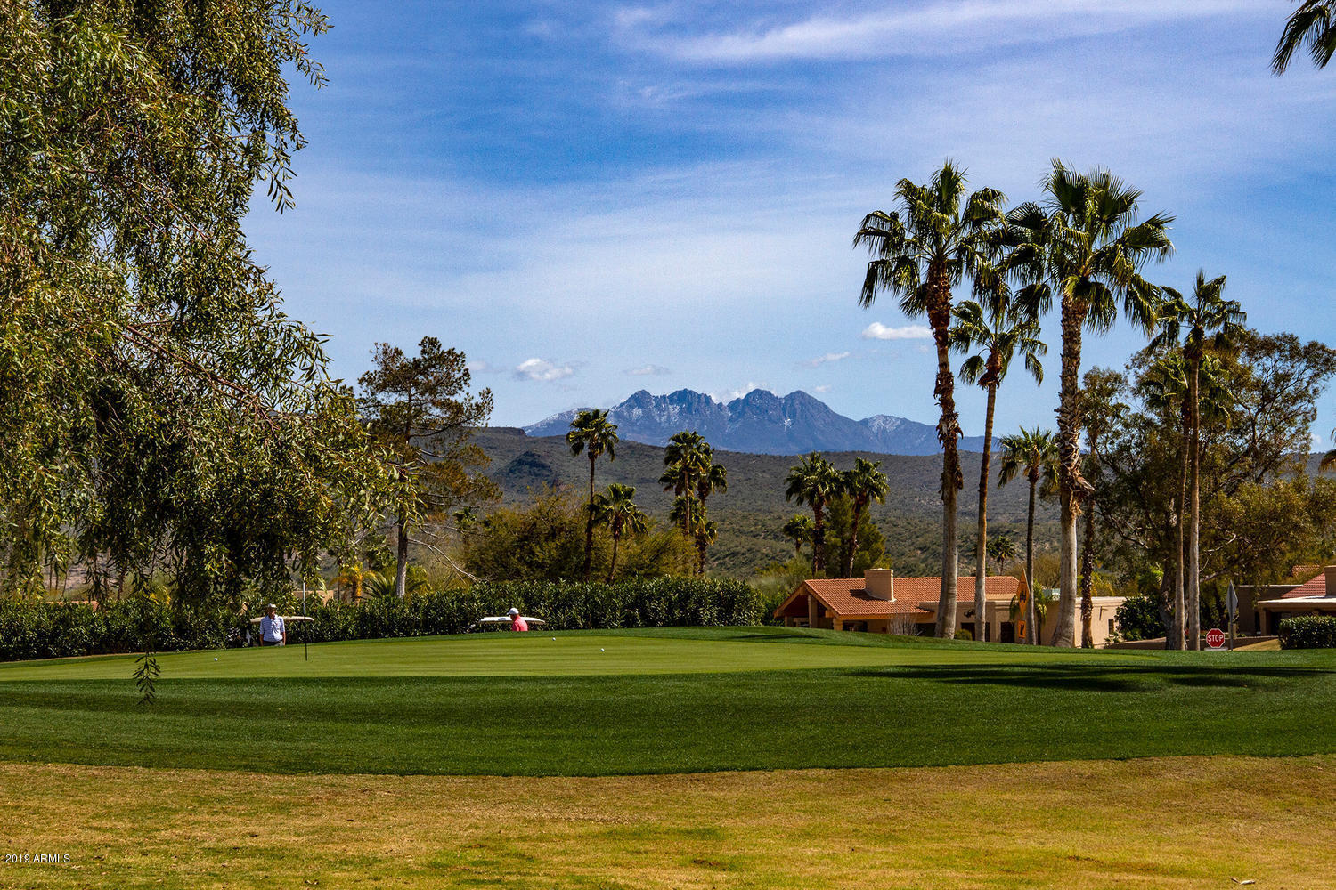 26441 North Arroyo Way Rio Verde, AZ 85263 - Photo 22 of 40 Four peaks mountains