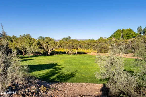a view of a grassy area with an trees