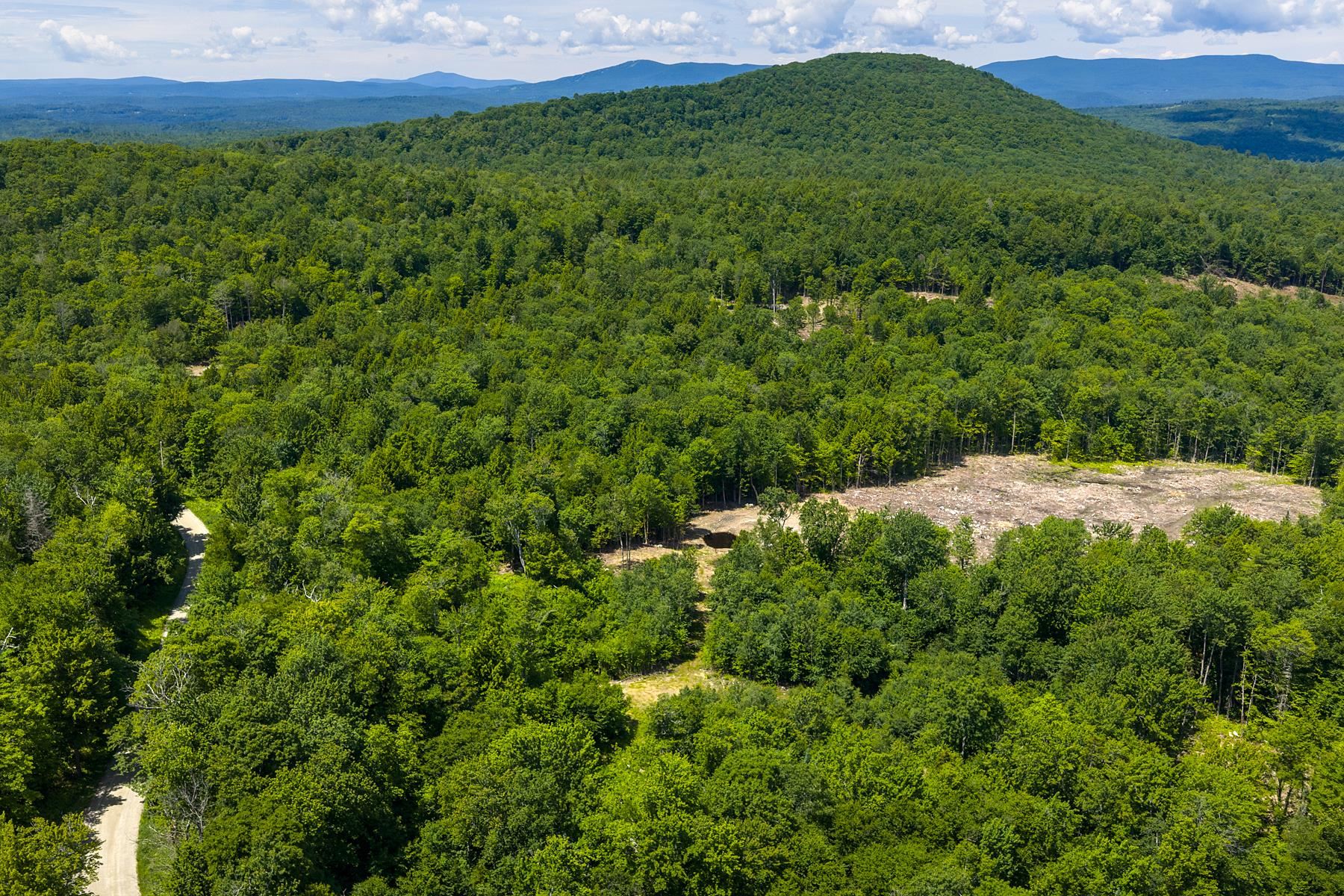 0 Little Pond Road Andover, VT 05143 - Photo 9 of 16