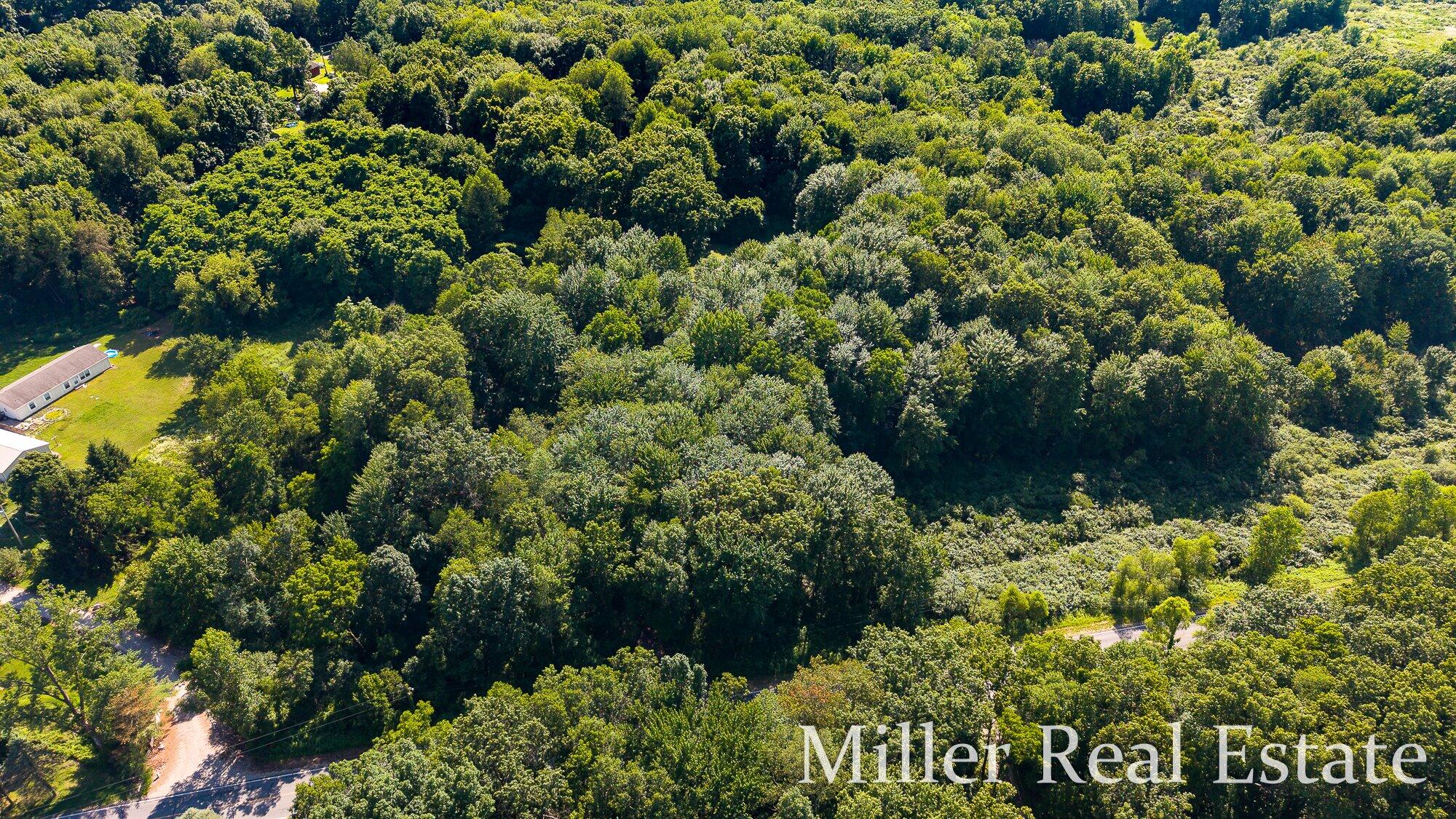 12780 North Avenue Bellevue, MI 49021 - Photo 41 of 47 41-WM12780northdrone-5