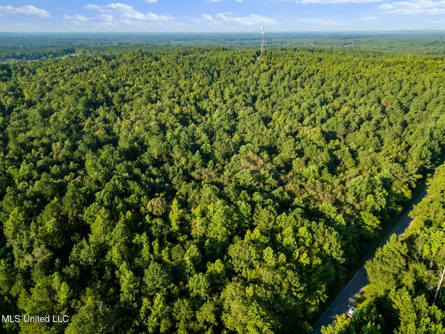 $29,900 | Oxford Road, Lauderdale, MS 39335