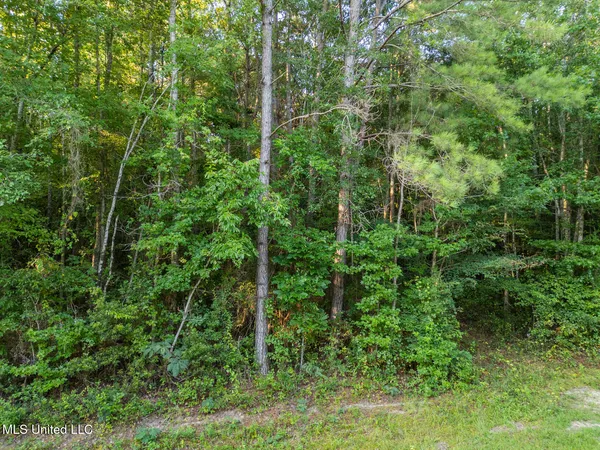 $29,900 | Oxford Road, Lauderdale, MS 39335