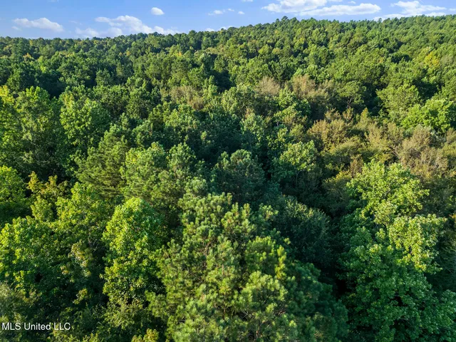 $29,900 | Oxford Road, Lauderdale, MS 39335