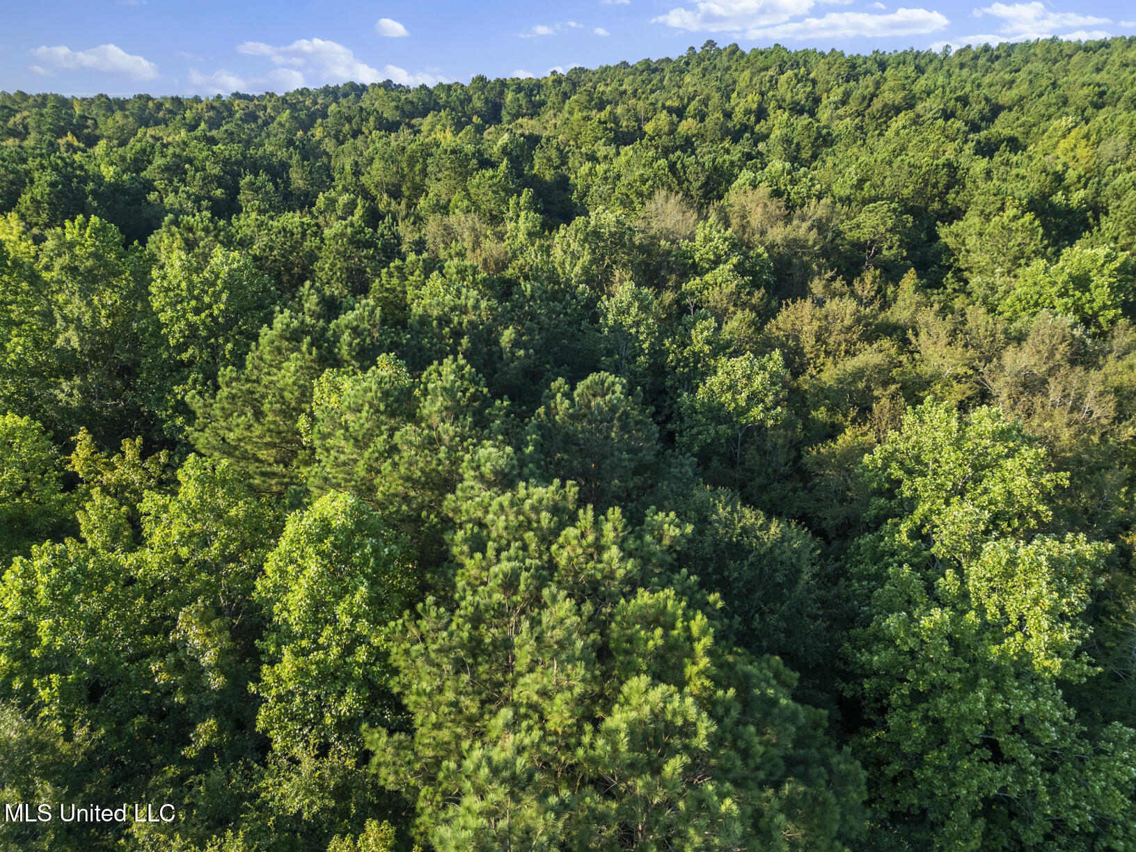 Oxford Road Lauderdale, MS 39335 - Photo 3 of 9 Photo Aug 04 2025, 10 02 47 AM